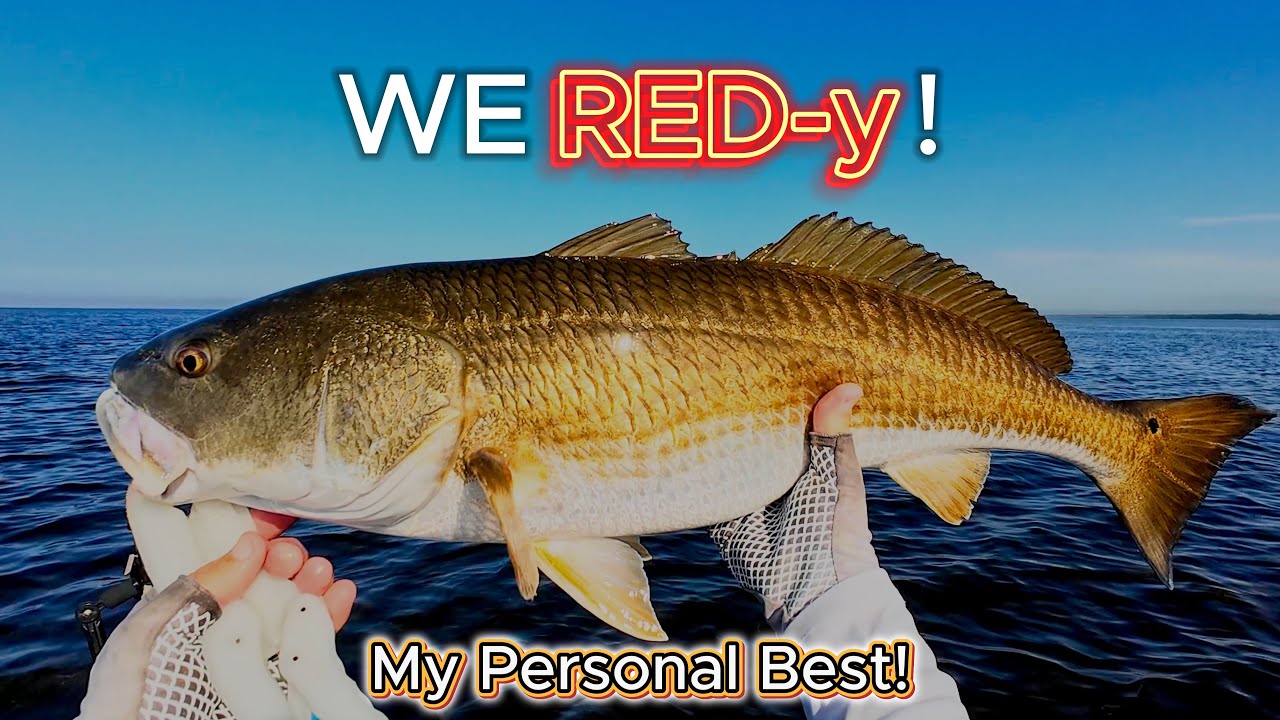 MY PERSONAL BEST DRAG PULLING REDFISH ADVENTURE!