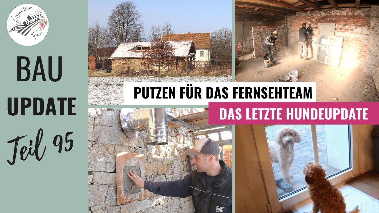 BAUVLOG 95 | 2 Wochen R&uuml;ckblick |  HAUSPUTZ f&uuml;r das Fernsehteam 🎥 | Pudelwelpen gehen weg 😥