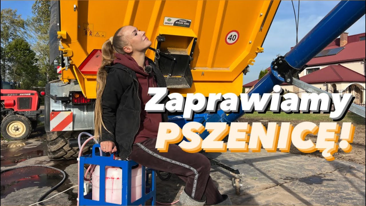Zaprawiamy nasze zboże z tatą! Jak to wygląda na naszym gospodarstwie?