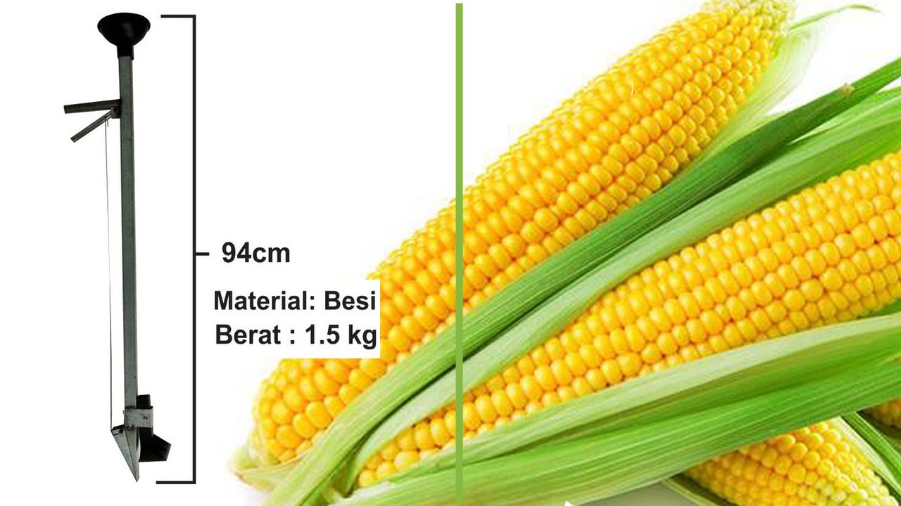 Cara membuat alat tanam jagung manual