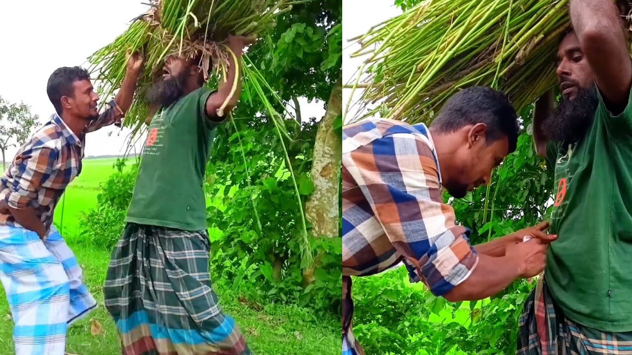 পাঠ করি নিয়ে জিয়া ভাই মহাবিপদে