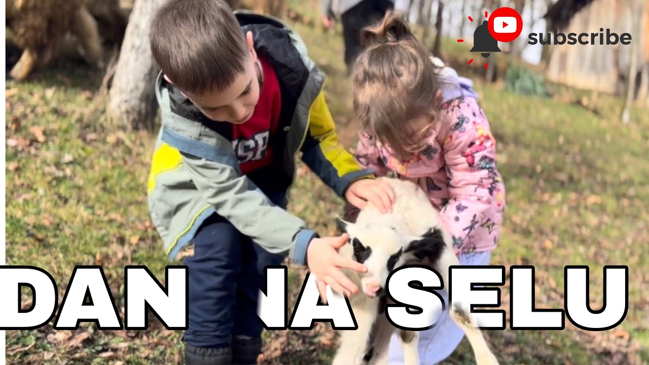 Nigdje k’o u Bosni | DAN NA SELU KOD DJEDA I NENE 