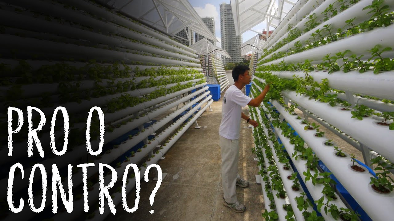 Idroponica e Acquaponica: QUAL &Egrave; LA DIFFERENZA?