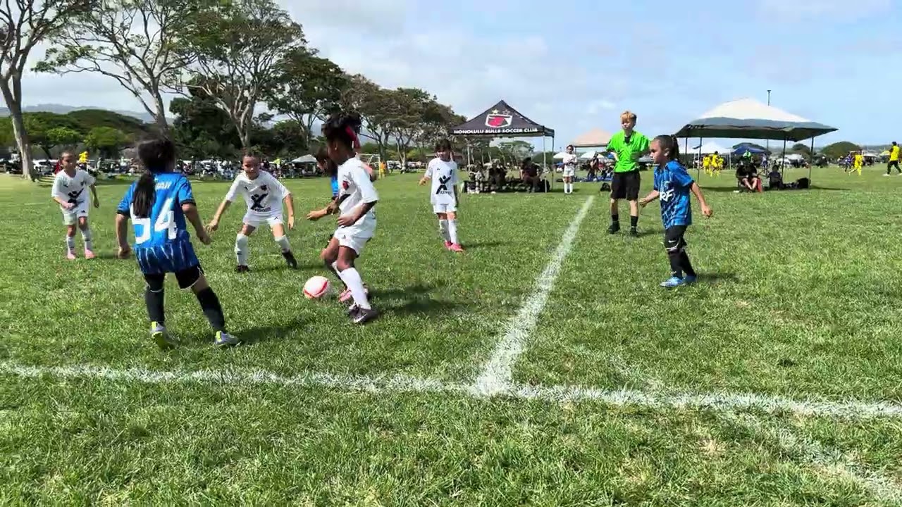 PDC 2026 Day 1 Surf 18G A2 vs Bulls