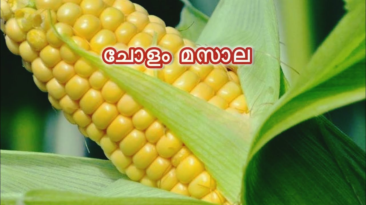ചോളം ഇങ്ങനെ ഒന്ന് തയ്യാറാക്കി നോക്കിക്കെ 😋ചോളം മസാല 😋✌️SWEET CORN MASALA🌽😋✌️