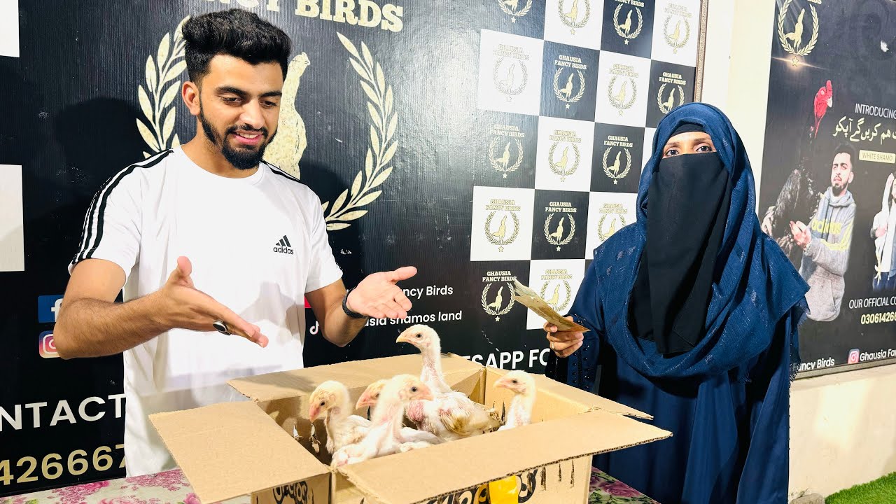 Beginners Seekhe is Behan Se Jinho ne MashaAllah Chicks Grow kr k Thousands Kamaye