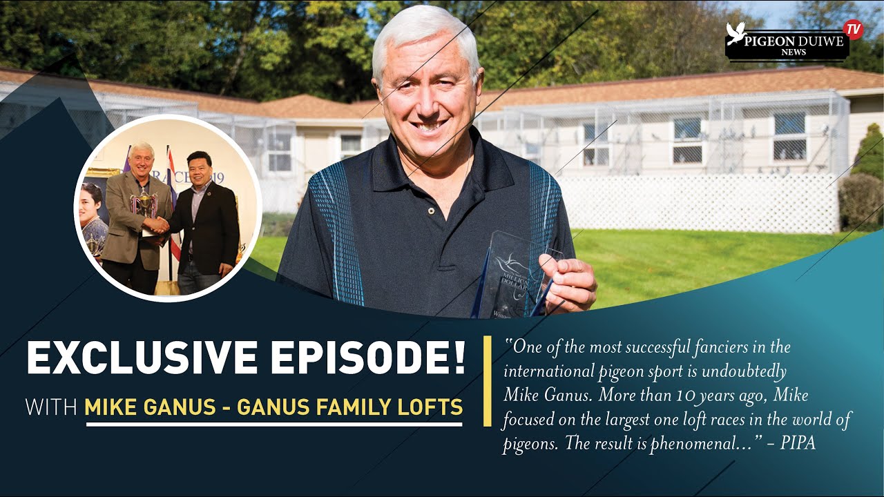 Pigeon Duiwe News TV- Mike Ganus -  International Top Pigeon Fancier. EXCLUSIVE EPISODE!