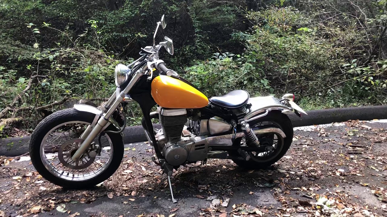 SUZUKI LS 650 SAVAGE CUSTOM JPN スズキ サベージ650