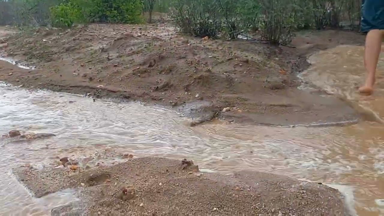 Temporal de Chuvas Caindo sobre O Nordeste Brasileiro 