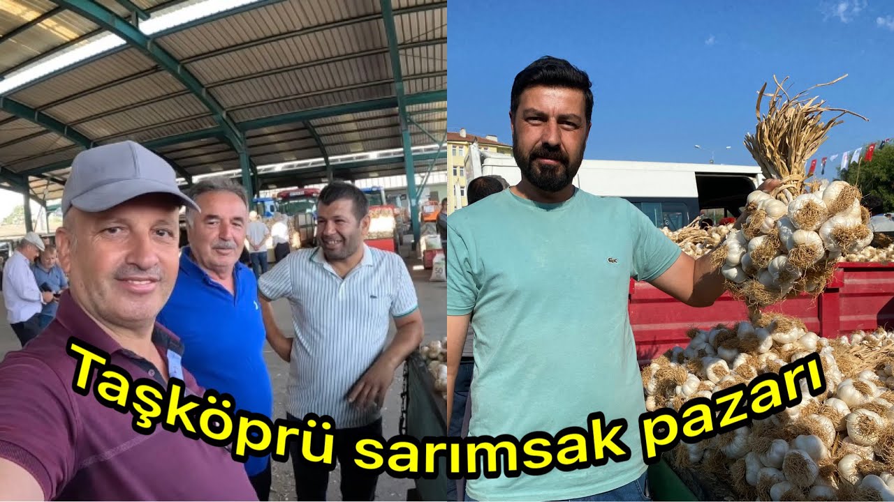 Kastamonu Taşköprü sarımsağı pazarda beyaz altın zirveyimi zorluyor?pazarın durumu ne ?