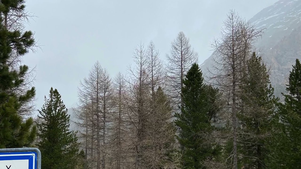 Camping- Morteratsch