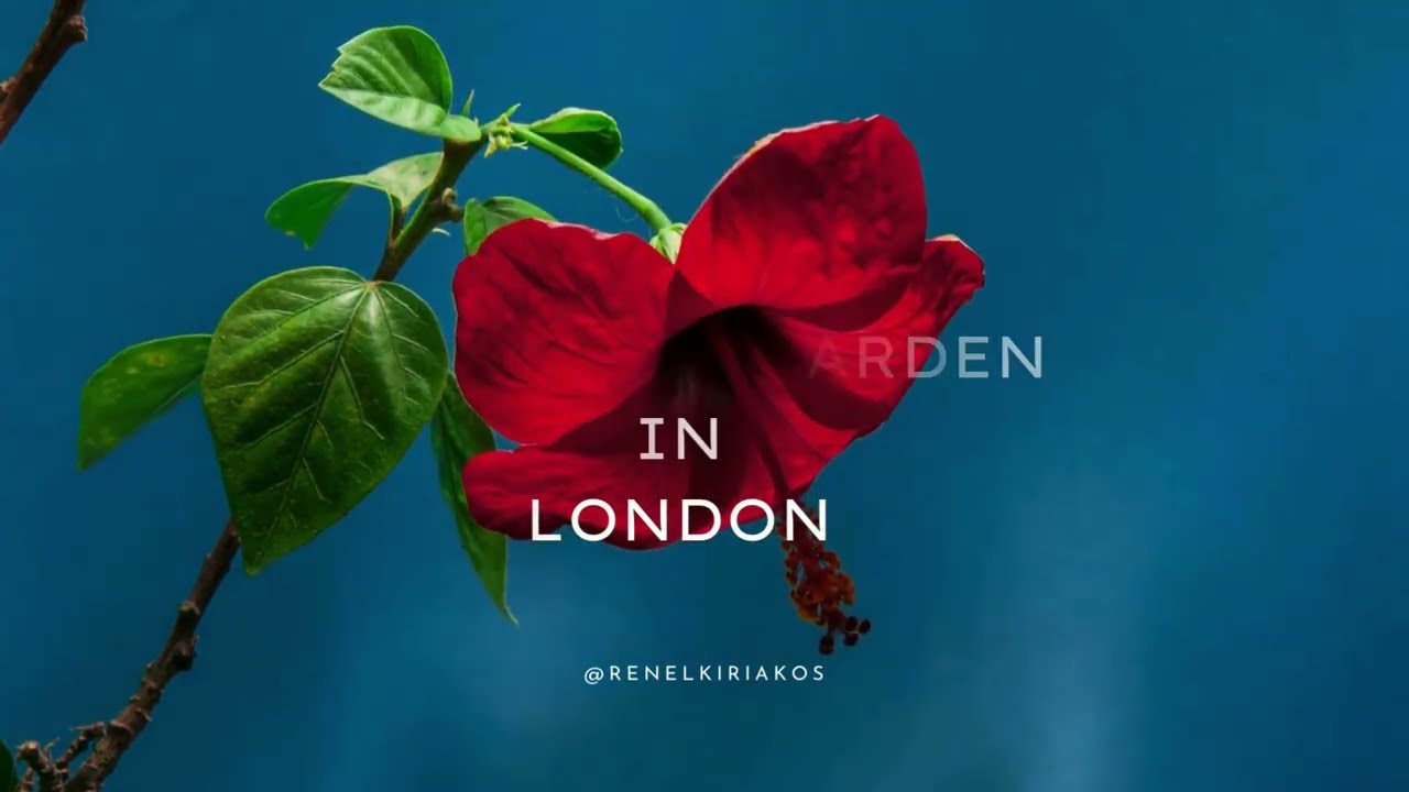 Butterfly Garden in London