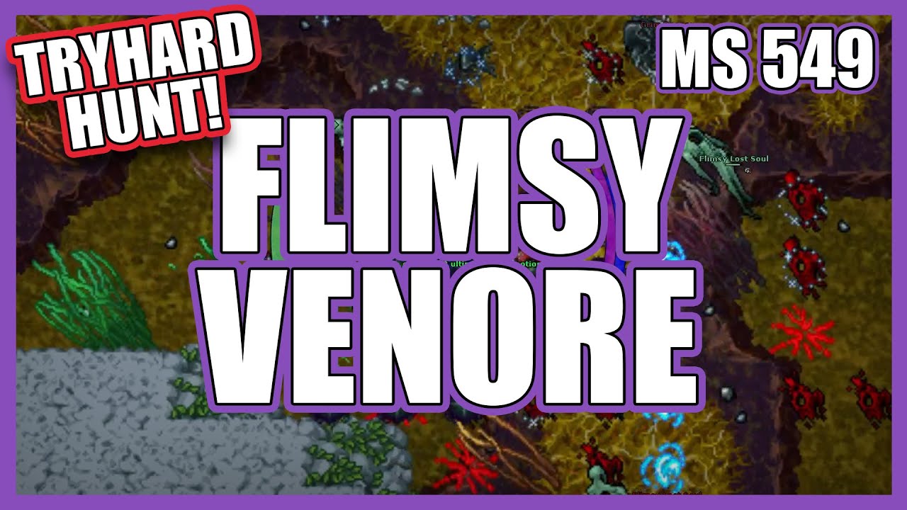 [TRYHARD] Flimsy Venore SOLO MS 549 | 8,2kk RAW & 500k Profit (9,46KK RAW PEAK!) | DOUBLE DMG PREY