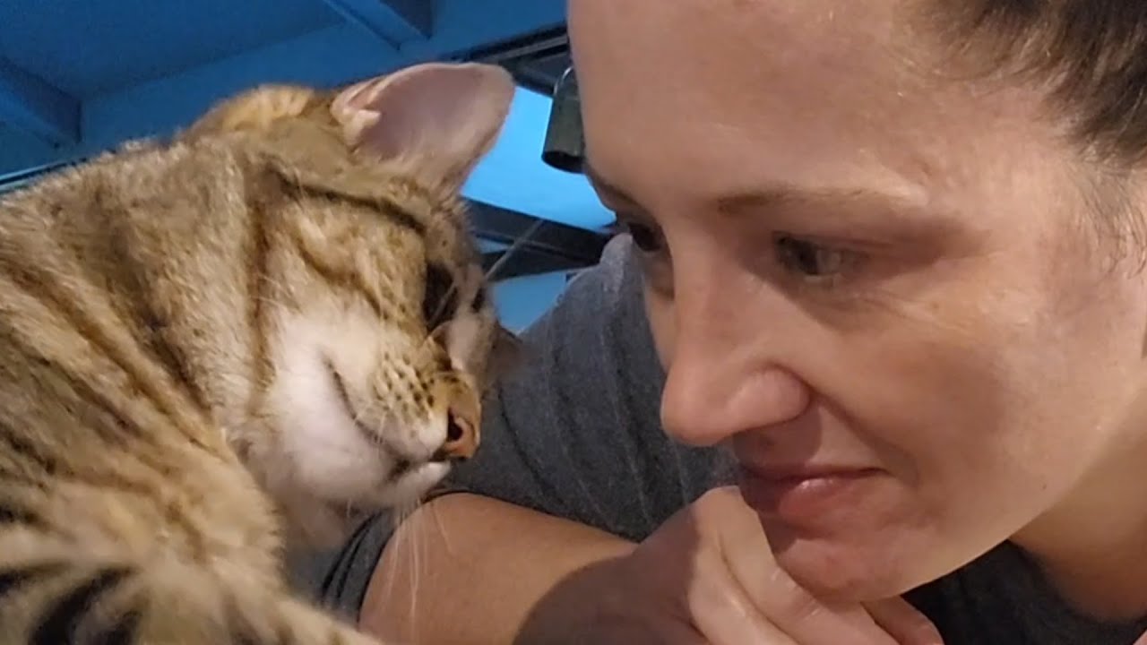 Cat falls in love with adopter