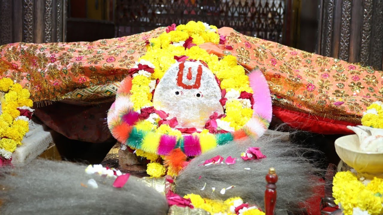 16फ़रवरी2026फागुन कृष्णा चतुर्दशी सोमवार संपूर्ण अभिषेक आरती दर्शन लाईव श्री बाबा रामदेव समाधि स्थल