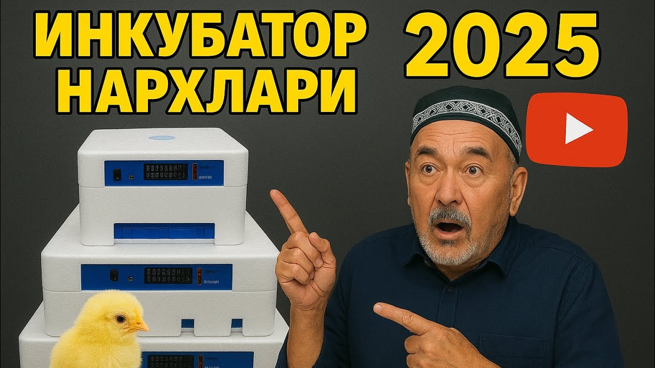 ИНКУБАТОР НАРХЛАРИ 2025 🐣 | ҚАНДАЙ ИШЛАТИЛАДИ? | ТО‘ЛИҚ ТАҲЛИЛ ВА АМАЛИЙ КЎРСАТМА!