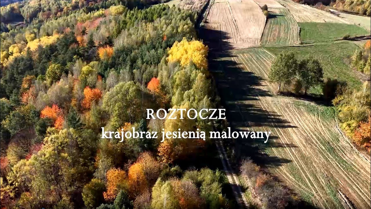 Roztocze - krajobraz jesienią malowany