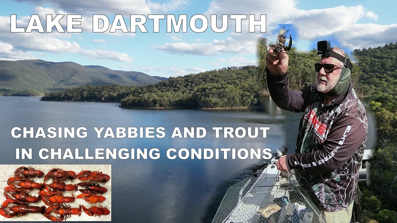 LAKE DARTMOUTH - Chasing yabbies and trout in challenging conditions
