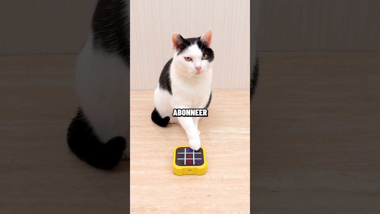 Zo win je ALTIJD boter kaas en eieren 😨⭕✖️