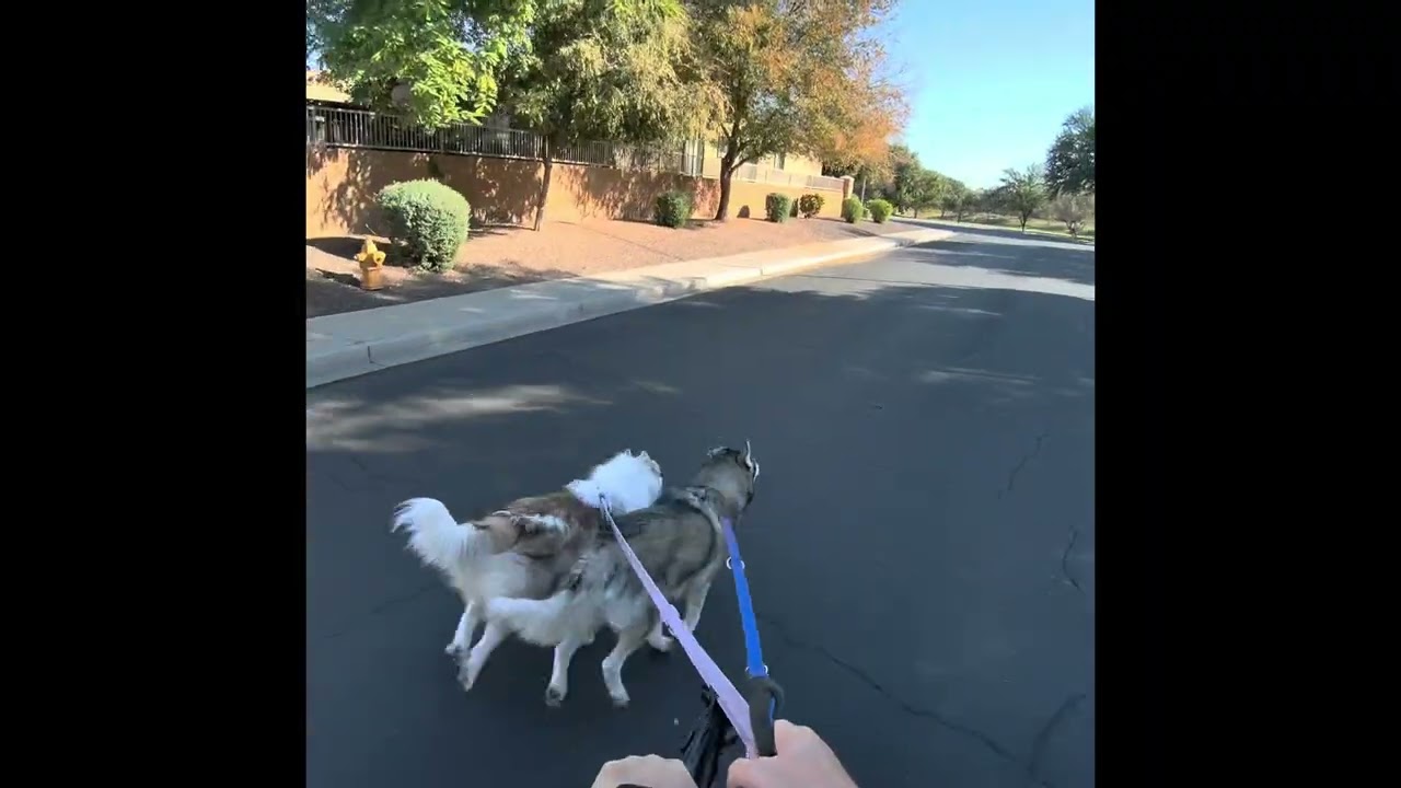 Today’s Ride: Rivalry Week Reflections 🏈 | UW vs Oregon, UA vs ASU, Family & Life Lessons