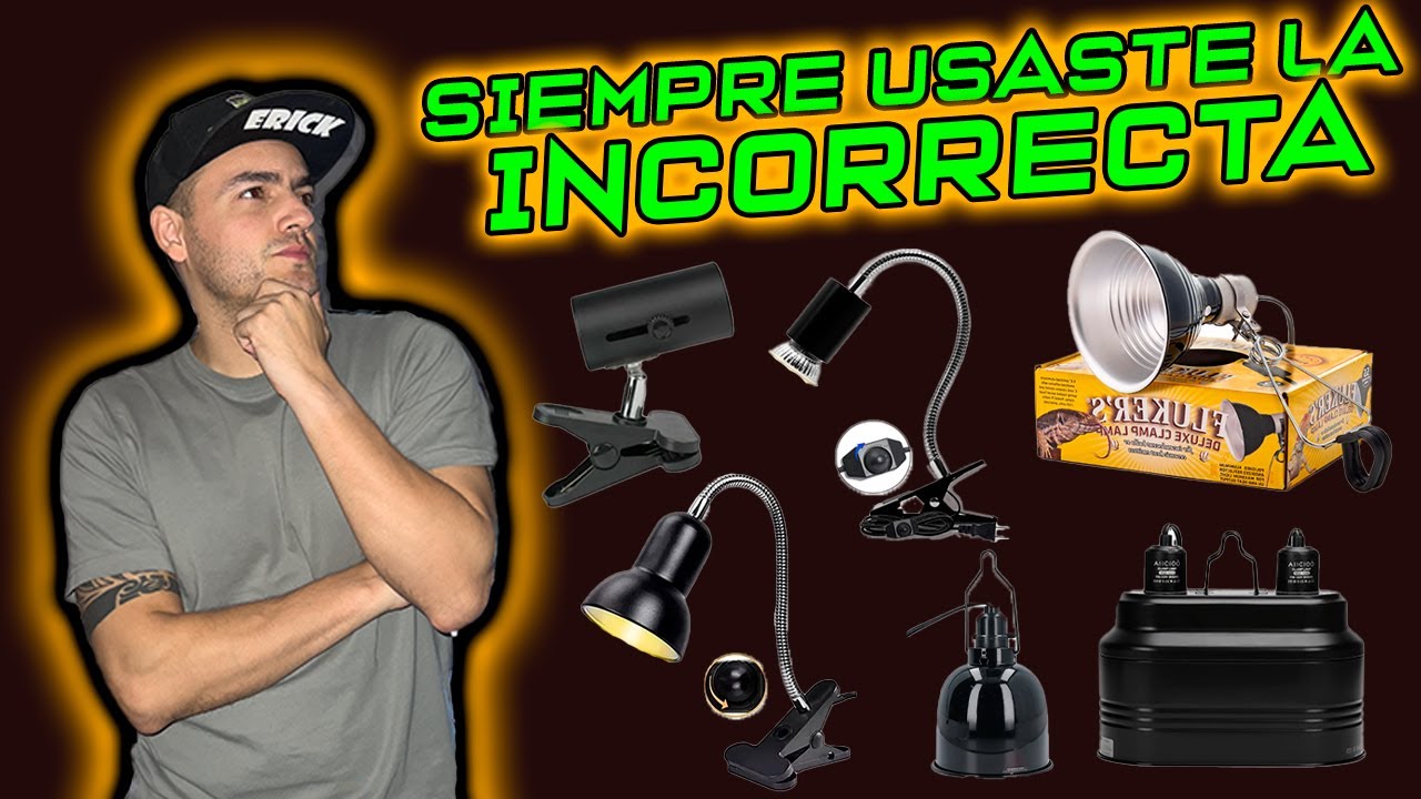 ¿CUAL LÁMPARA ES LA CORRECTA PARA LOS FOCOS UVB?