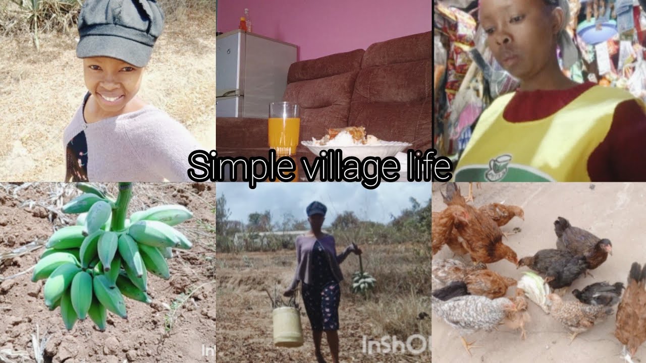 Simple village life;;; farming// cleaning//looking for firewood//shop keeping.