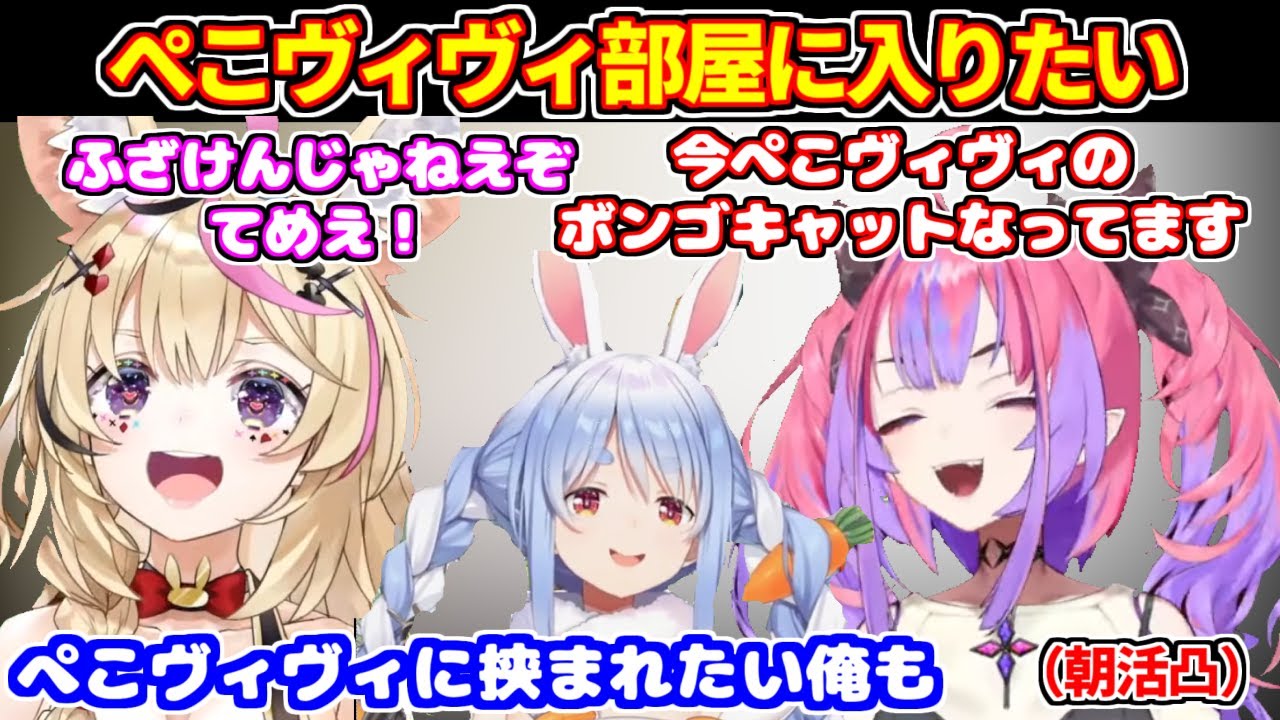 ぺこヴィヴィのボンゴキャットの件でポルカに問い詰められるヴィヴィ【ホロライブ切り抜き/兎田ぺこら/綺々羅々ヴィヴィ/尾丸ポルカ】