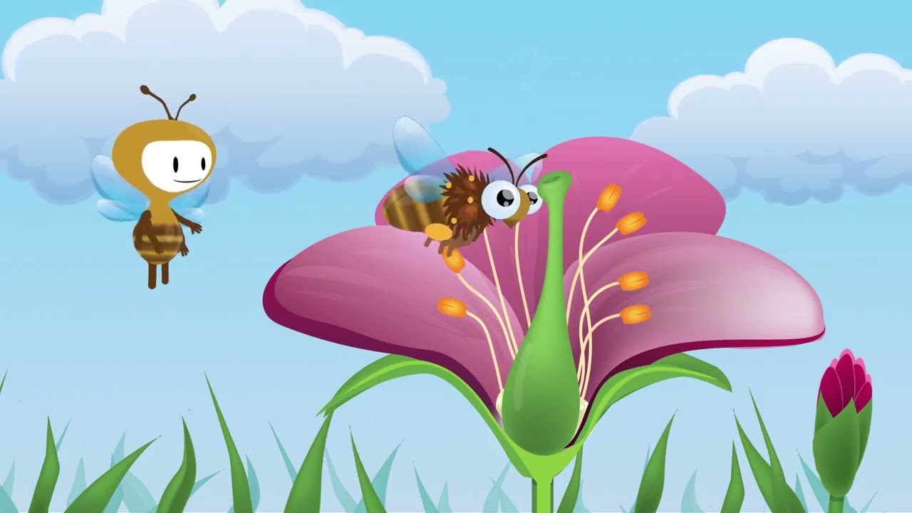 Qu’est-ce que la pollinisation ?