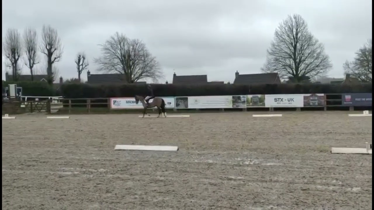 Authora Dream 80cm Combined Training Coombelands Equestrian 07.02.26