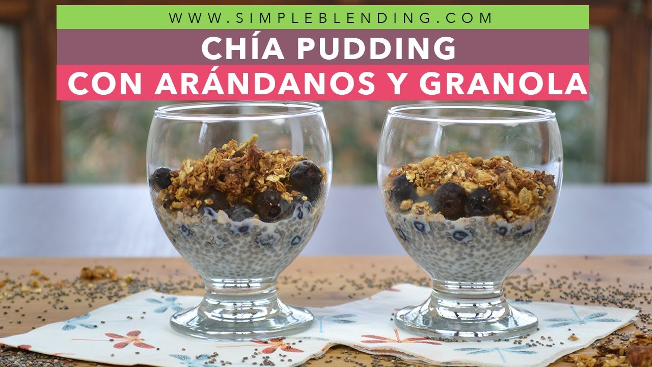 CHÍA PUDDING CON ARÁNDANOS Y GRANOLA | Cómo preparar un chía pudding | Rico en antioxidantes