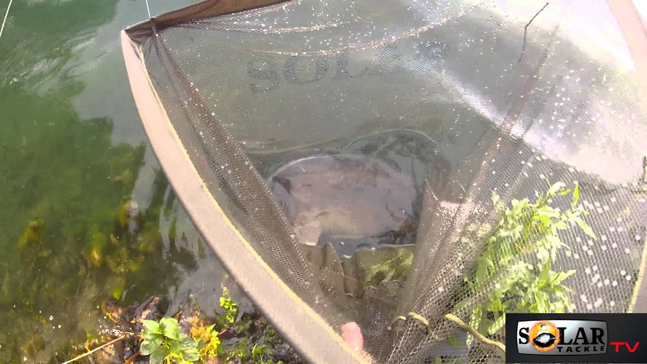 Solar Tackle For The Sharper Carper