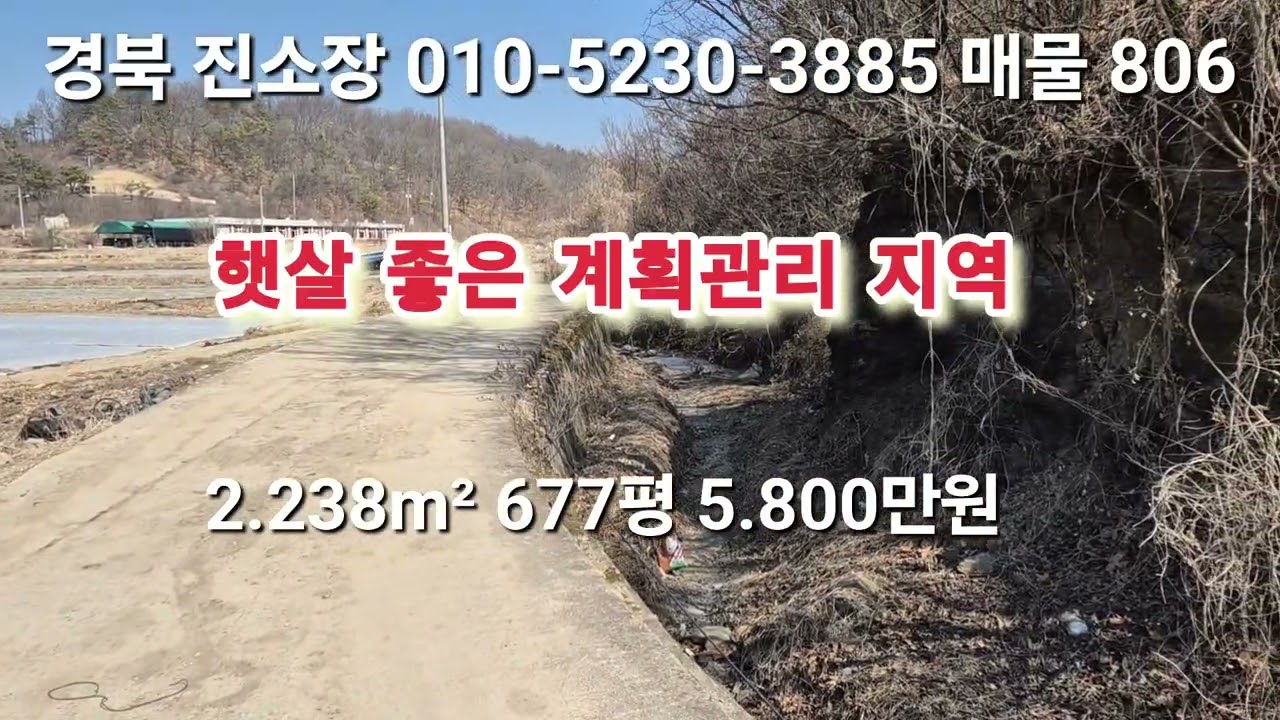 매물 806# 진소장 부동산 #의성부동산 #군위부동산 #안동부동산 #의성 땅 매매 