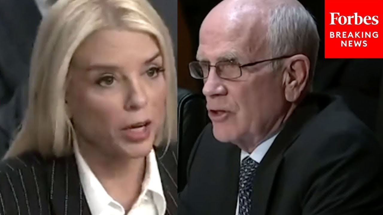 'What Do You Mean By The Left?': Peter Welch Confronts Bondi Over 'Takeover Of The Voting Process'