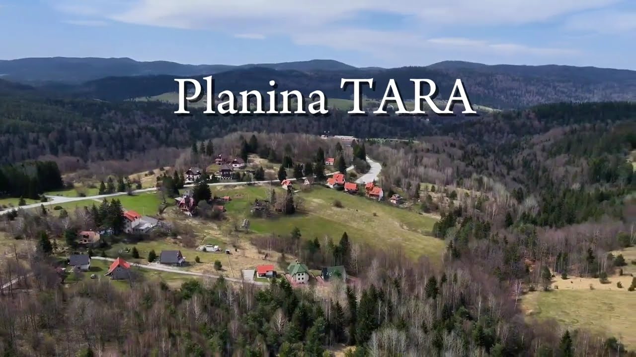 Apartmani ZLATNI BOR - planina TARA