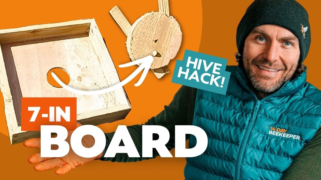 Eke And Crownboard And Feeding Box All In One - Multipurpose Crown Board