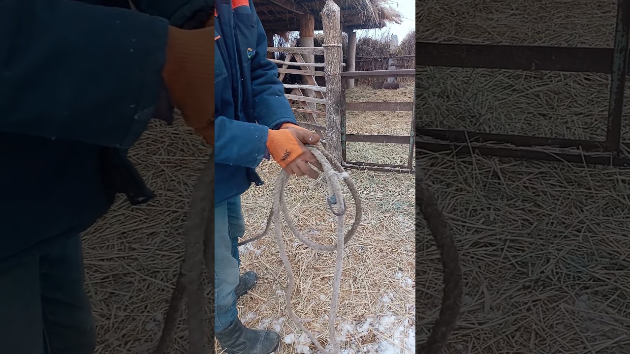 Бұғалық салу