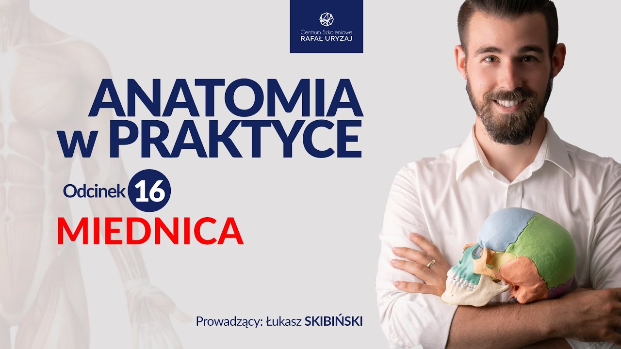 Miednica. Anatomia w praktyce - odcinek 16.