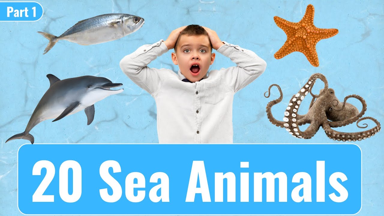 🐠 20 Sea Animals in English with Pictures | Part 1 | Learn English Vocabulary Easily