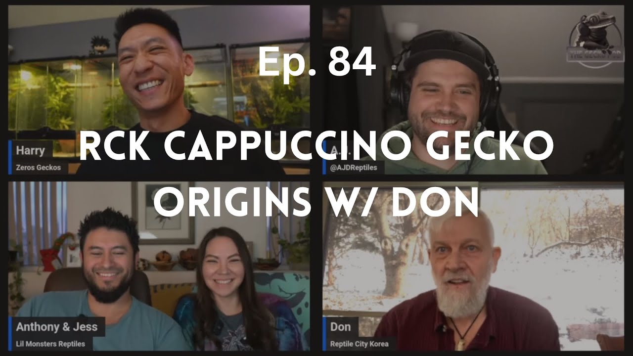 RCK Cappuccino Gecko Origins w/ Don | Ep. 84 of The Gecko Pod