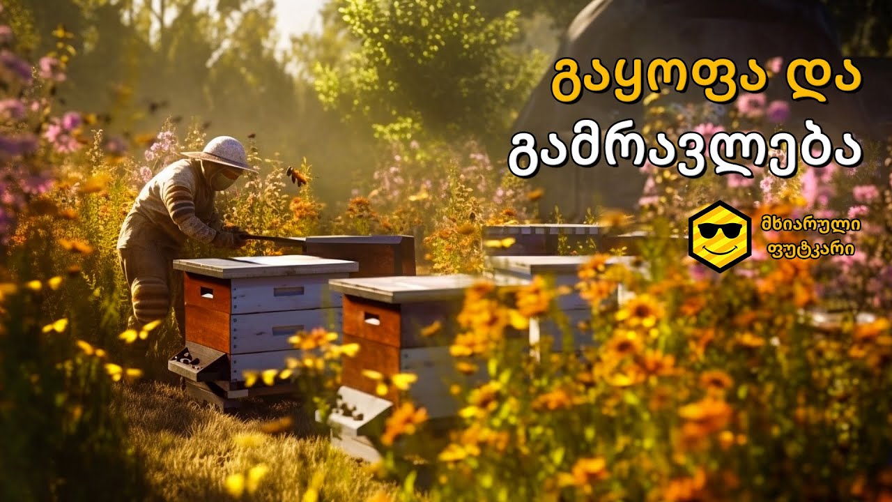 გაყოფა ნიშნავს გამრავლებას