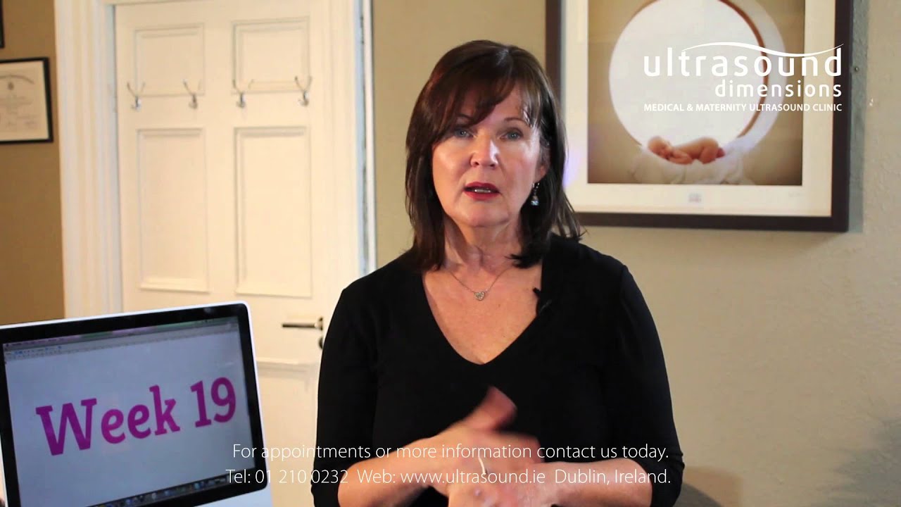 19 Weeks Pregnant - Your 19th Week Of Pregnancy