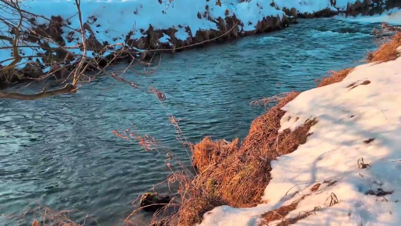 Winter River Flow ❄️ | Gentle Water Sounds, Snowy Riverbank – Real Nature 4K (No Music)