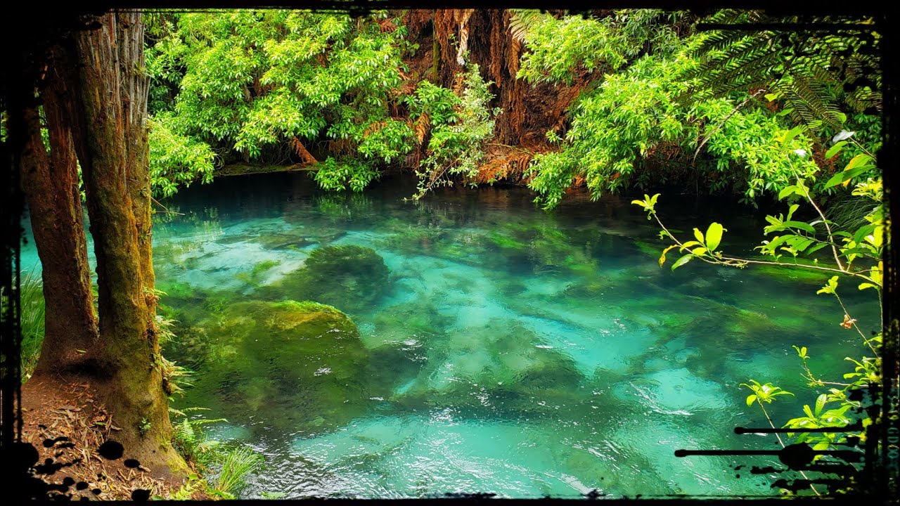 10 REAL Beautiful Hidden Gems of New Zealand Travel (North Island)