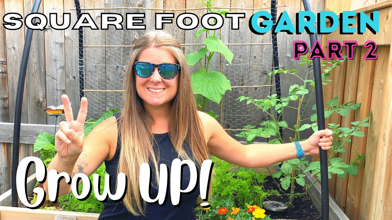 Easy DIY Garden Arch Trellis For Vertical Square Foot Gardening!