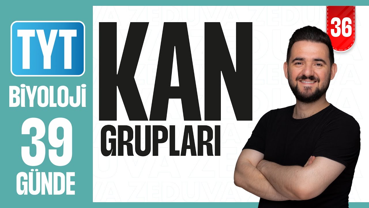 Kan Grupları Konu Anlatımı | 39 G&Uuml;NDE AYRINTILI TYT BİYOLOJİ KAMPI 2026-2027 | 36