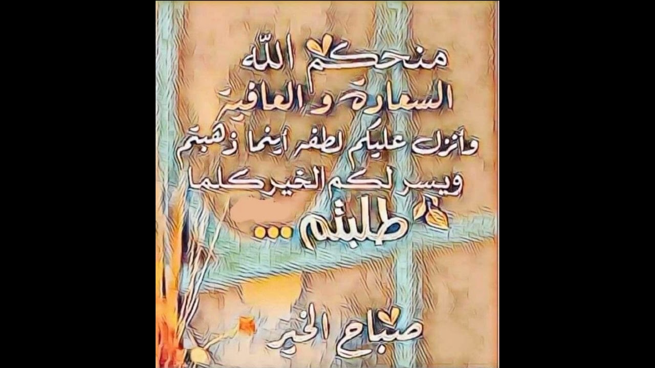 حتى الطير رحل خلاني م طيب لي خااااطر ❤️❤️