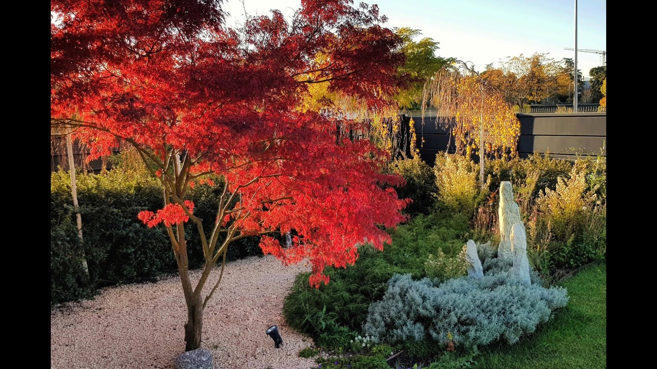 🌼 Algunos de los jardines de La Paisajista - Jardines con Alma, por Monique Briones
