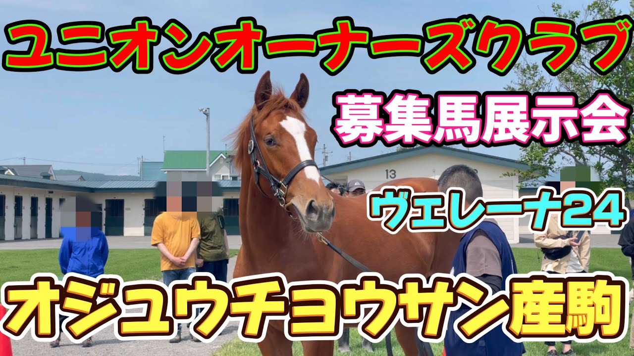 【ユニオンオーナーズクラブ展示会】オジュウチョウサン産駒