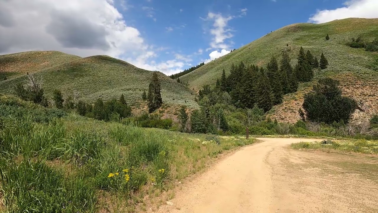 Dinosaurs in the hills