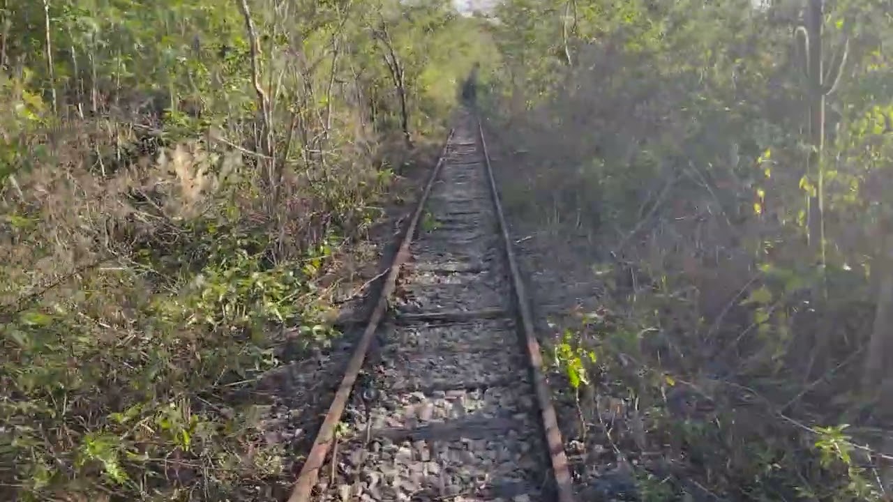 Serra das Russas, Neguiho de Zé de Loura EF232